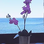 En Primera Línea De Mar