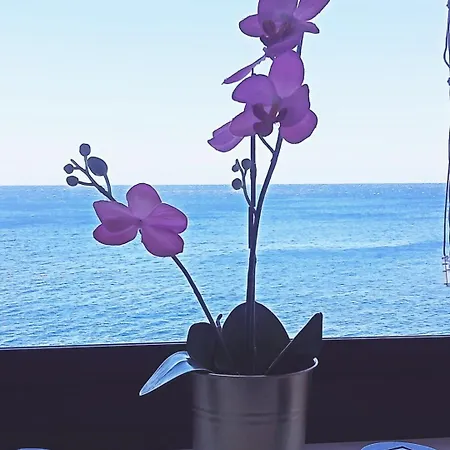 En Primera Linea De Mar